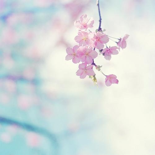 Ψ���К��|��Ů�����Ժ���������������׌��һ���̓A��